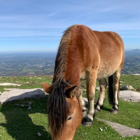 Les Hauts De Biantenia Avec Wifi