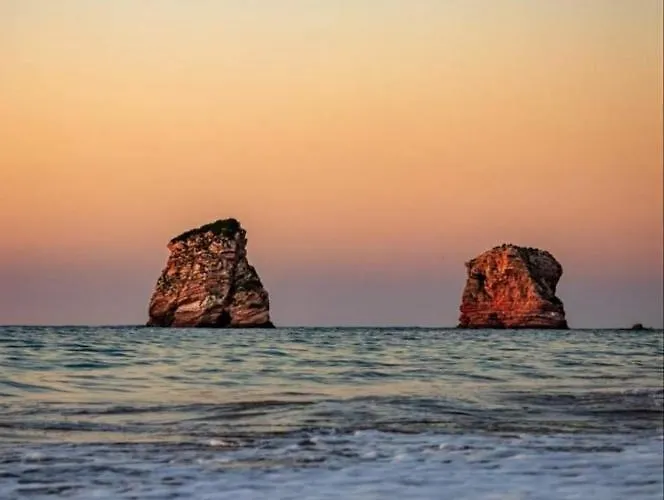 Les Hauts De Biantenia Avec Wifi Lejlighed