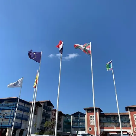 Les Hauts De Biantenia Avec Wifi Apartament *